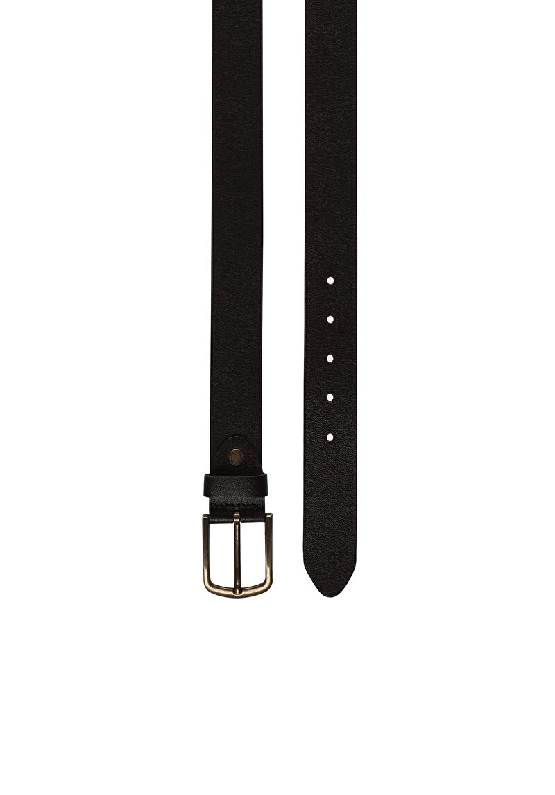 Изображение Мужской коричневый ремень