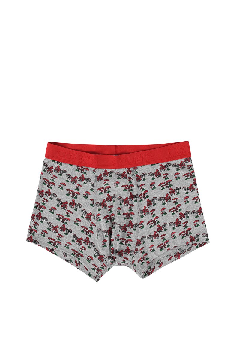 Изображение Мужские серые боксеры современного кроя с принтом