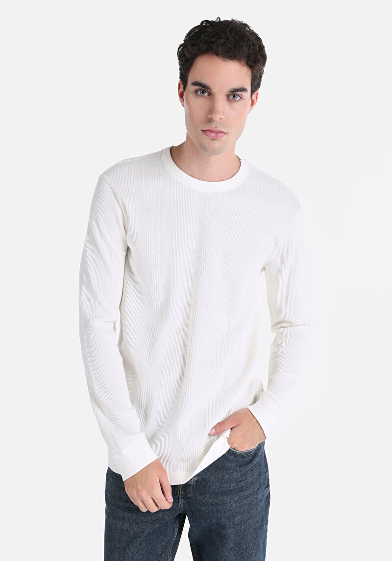 Изображение Мужская футболка длинный рукав