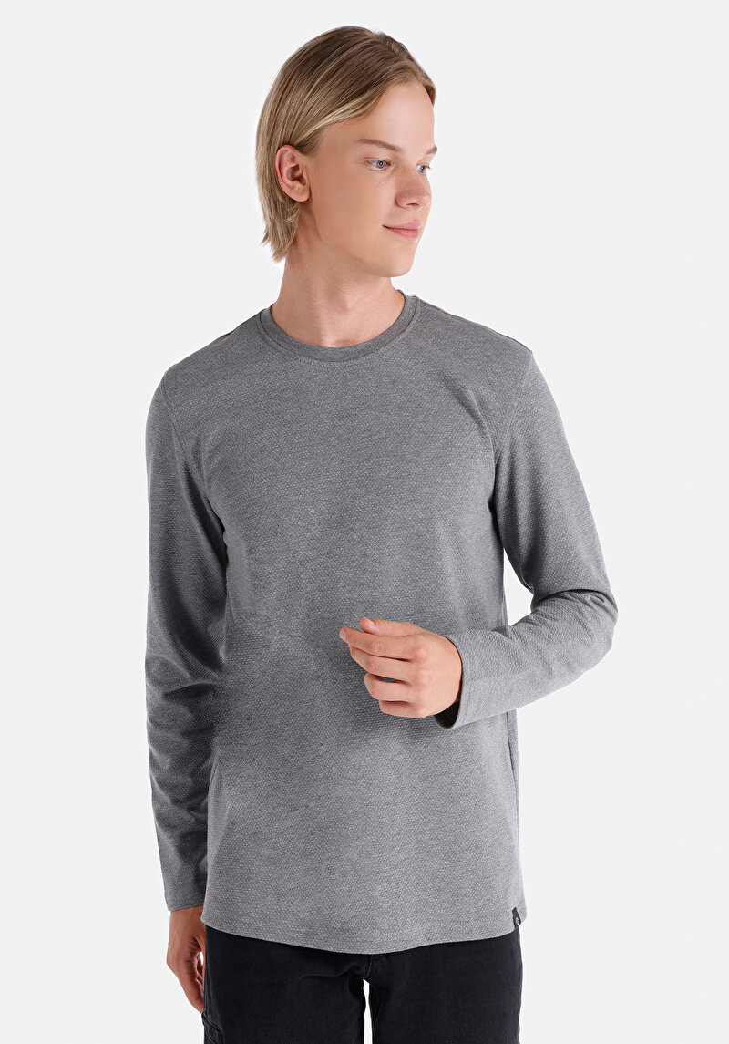 Изображение Мужская футболка длинный рукав