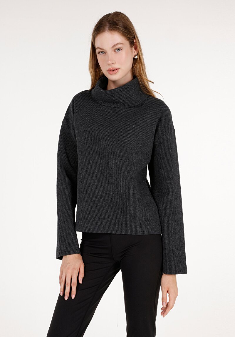 Изображение Женская антрацитовая водолазка стандартного кроя с длинными рукавами