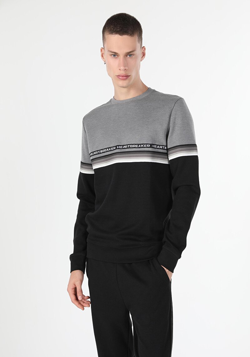 Изображение Мужская толстовка