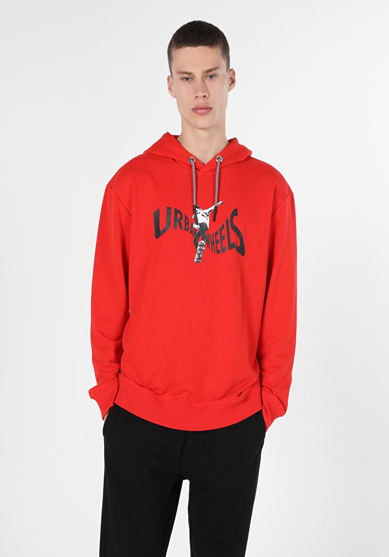 Изображение Мужская толстовка