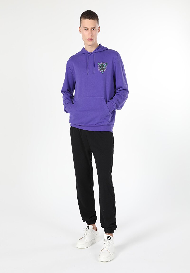 Изображение Мужская толстовка