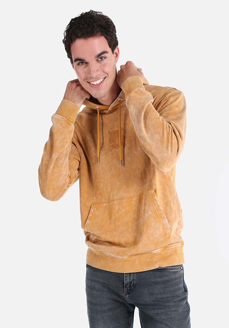 Изображение Мужская толстовка сари стандартного кроя