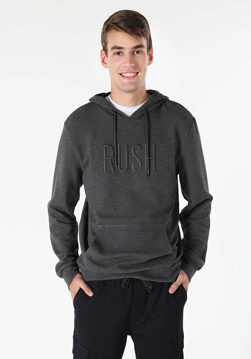 Изображение Мужская толстовка