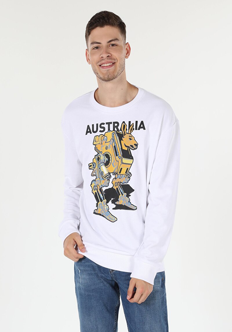 Изображение Мужская толстовка