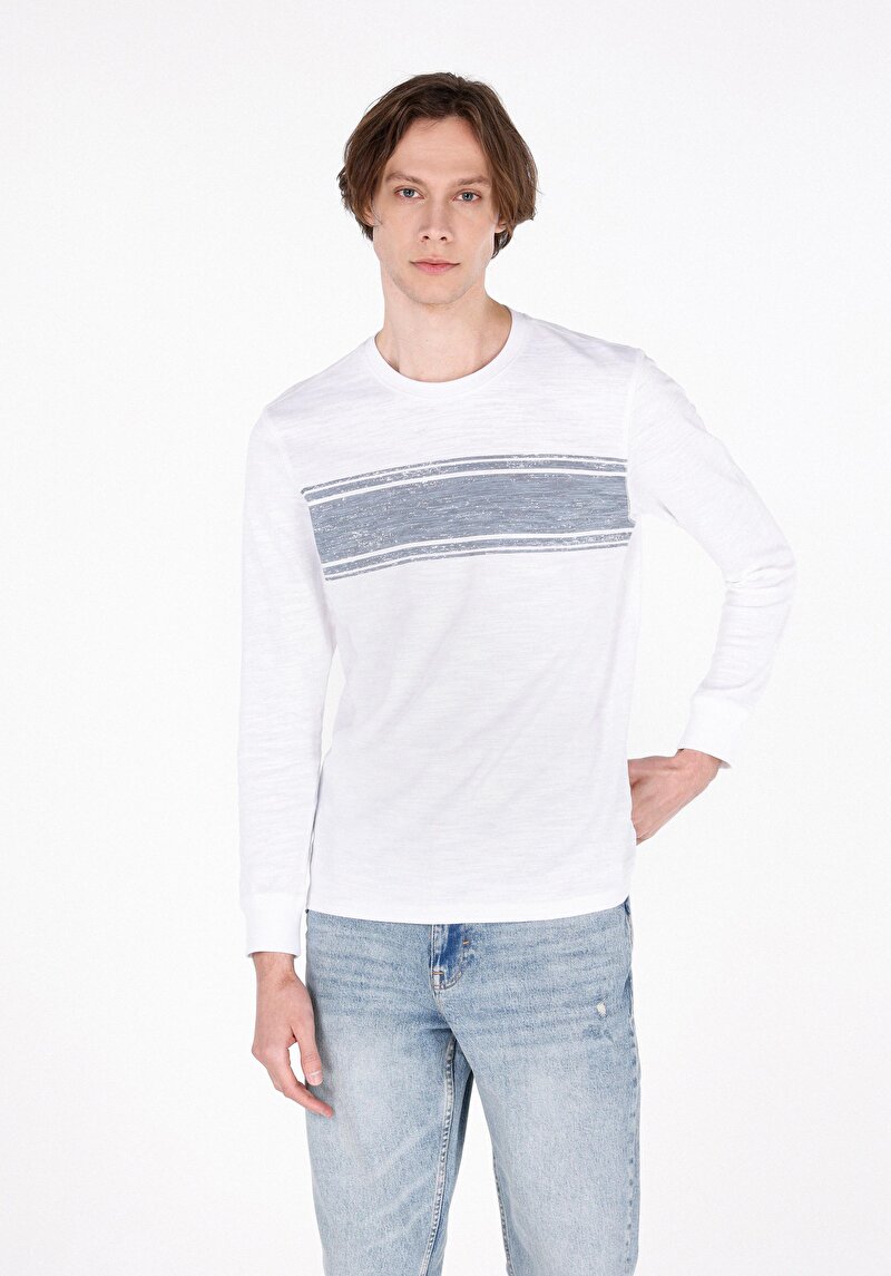 Изображение Мужская футболка длинный рукав