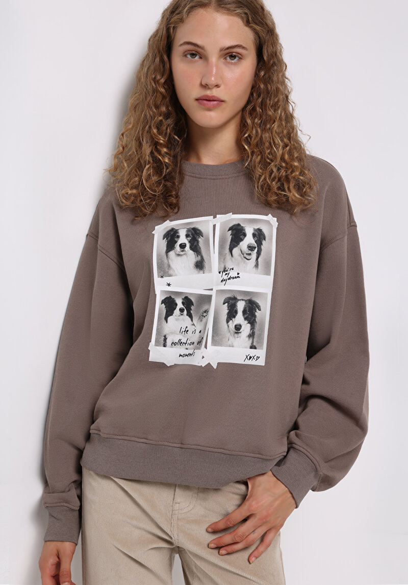 Изображение Жен. Толстовки